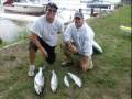 Lake Michigan Spearfishing Sheboygan