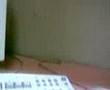 videos de soy tu jefe t guste o no t guste, asi q tomatela'