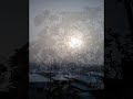 「悲しき草笛」 匂い優しき 山桜卯月の空を 仰ぎたる少年ひとり 立ち尽くし沸きくる涙 その瞳 母の骸（むくろ）の 冷たきに弾ける如く 家を出づ唇噛みしめ 歩み来た千曲の川の せせらぎに信濃の春よ 悲しき草笛 思いつのれる 夏草や母が歌いし はやり唄命に宿る さだめ（運命）とて生きてこそあれ うつ（空）蝉の面影今も 忘れまじ幼き日には 母の手に泣いて抱かれた 草枕手向ける花は ひめさゆり胸に流れる 悲しき草笛 草笛の音色 儚（はかな）し遠く家路は 暮れゆきて 聞こゆる母の 呼び声は生きてこそあれ うつ（空）蝉の面影今も 忘れまじわくら（病）葉の つま（倹）しき人よ わが母よありありと聞く 貴女の歌をありありと知る 貴女の愛を浮き草の 幾年月を重ねても 胸に流れる 悲しき草笛 悲しき草笛