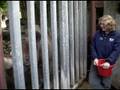 videos de Rhino Feeding (By Hand)