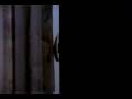 Nightmare Ghost Stories - Flixster Video