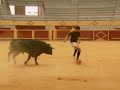 See Video