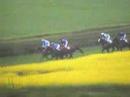Easingwold PPORA Novice riders Easingwold PPORA Novice riders