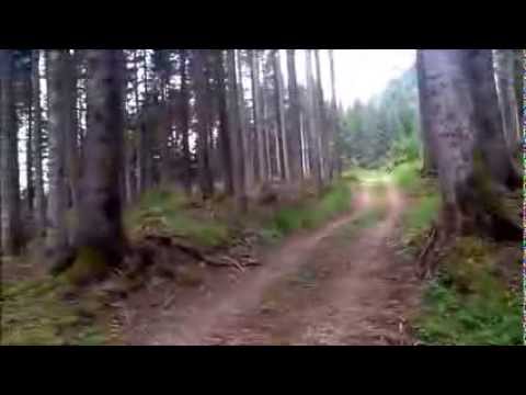 Immagine anteprima YouTube