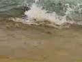  divertente  mario fà la foca in spiaggia a baja sardinia