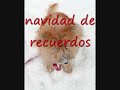 mix navideño hermanos flores L.seguro