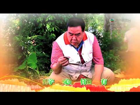 TVB 老友狗狗 主題曲 (TVB Channel)