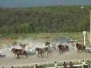 第31回 ばんえい大賞典(2006年9月17日、岩見沢競馬場)