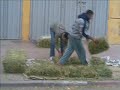 tecktonikagadirpergola-crash-jackasse.html