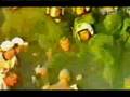 Hooligans Polska chuligani zawsze razem