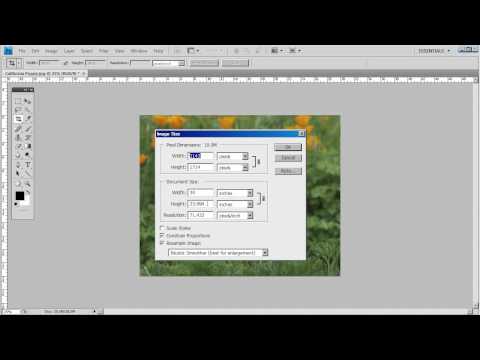 how to properly crop a photo