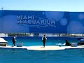 Miami Seaquarium