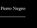 Nihil Obstat Perro Negro