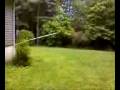 videos de Its Godzilla Wiener.3g2