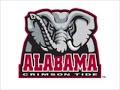 Mr Delusional Alabama Fan