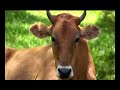 UN Millennium Campaign Goal 8 Global Partnership