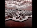 Robert Babicz - Dark Flower (Incl Joris Voorn Remix)