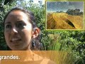 Zool�gico de Chapultepec Parte 2 (Desierto)