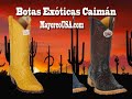 botas exoticas por mayoreo caiman avestruz vaqueras