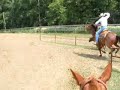 J Bar S Farms Team Roping Practice