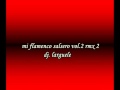 mi flamenco salsero vol.2 rmx 2