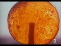 Caramelo de limón- Vainica doble