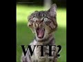 Rodney Carrington - Don\ Rodney Carrington - Don\
