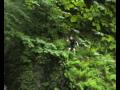 videos de Scotland 2009