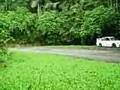 bukit tinggi speed star