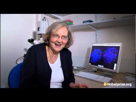 nobel laureate - Elizabeth Blackburn was awarded the 2009 Nobel Prize in Physiology or Medicine for identifying telomerase, the enzyme that makes telomere DNA. Learn more abo...