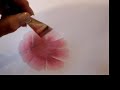 Painting Cottage Roses 1st video clip