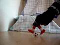 Assistir ao v�deo