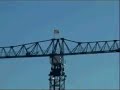Obras del nuevo estadio en Cornell�