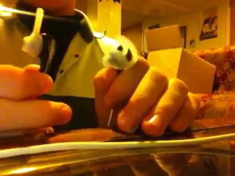 how to isolate from noise