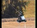 Click here to watch this video Nelson flying fox.mpg
