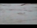 تصوير المخرج م.أبو مالك 4-11-1429