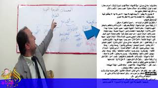 الطباق وانواعه 