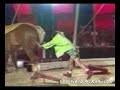 �ok feci at kazas?