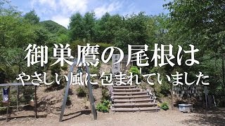 30年後の御巣鷹の尾根の様子