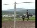 Celo and Mueller lesson 3, 8/08 pt 4 Celoso wins for now