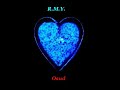 R.M.Y. - Osud R.M.Y. - Osud