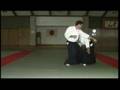 白鳳流合気武道　hakuhoryuaikibudo