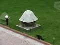 Crow vs. Cat Crow vs. Cat
