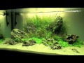 Aquascaping - The Art of the Planted Aquarium 2012 XL compilation
