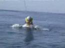 valentin wake dans l\