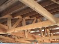10944 CR442 Video3 Metal Building Kennel Building Back Yard