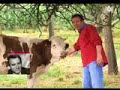 5 ans avec François Bayrou 5 ans avec François Bayrou