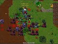 Quara Raid Battle