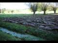 Au-pays-de-la-Queue-