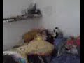 Cudoviste izad zavjese Cudoviste izad zavjese